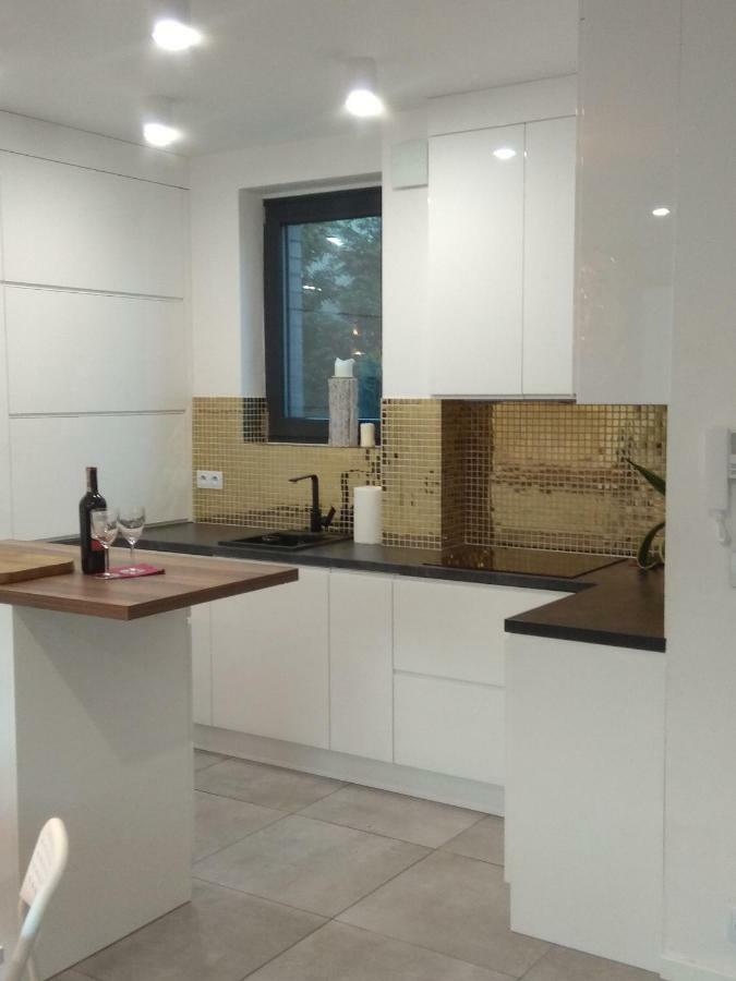 Luxury Apartment With Own Parking Chorzów Exterior foto